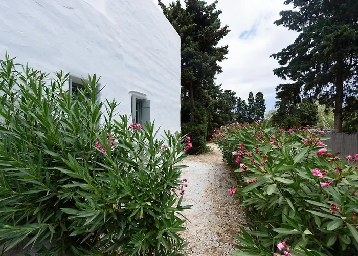 Sun Drop II With Mini Pool - Drios Beach Paros * Δρυός
