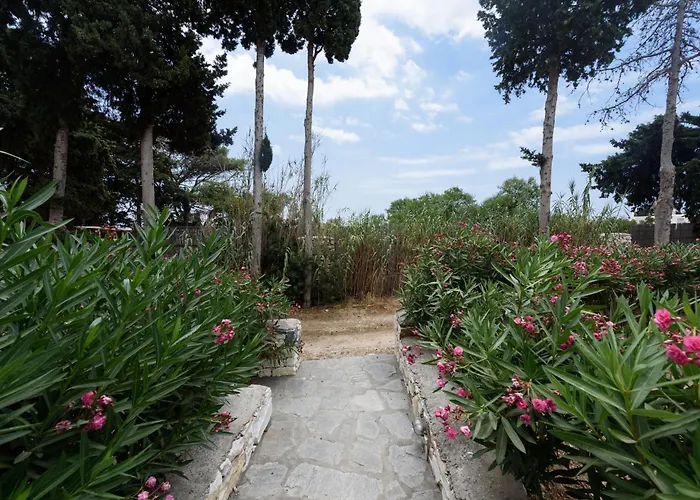 Sun Drop II With Mini Pool - Drios Beach Paros Σπίτι διακοπών Δρυός