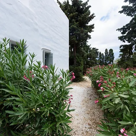 Sun Drop II With Mini Pool - Drios Beach Paros * Drios