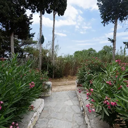 Sun Drop II With Mini Pool - Drios Beach Paros Hébergement de vacances Drios